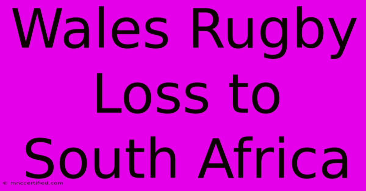 Wales Rugby Loss To South Africa