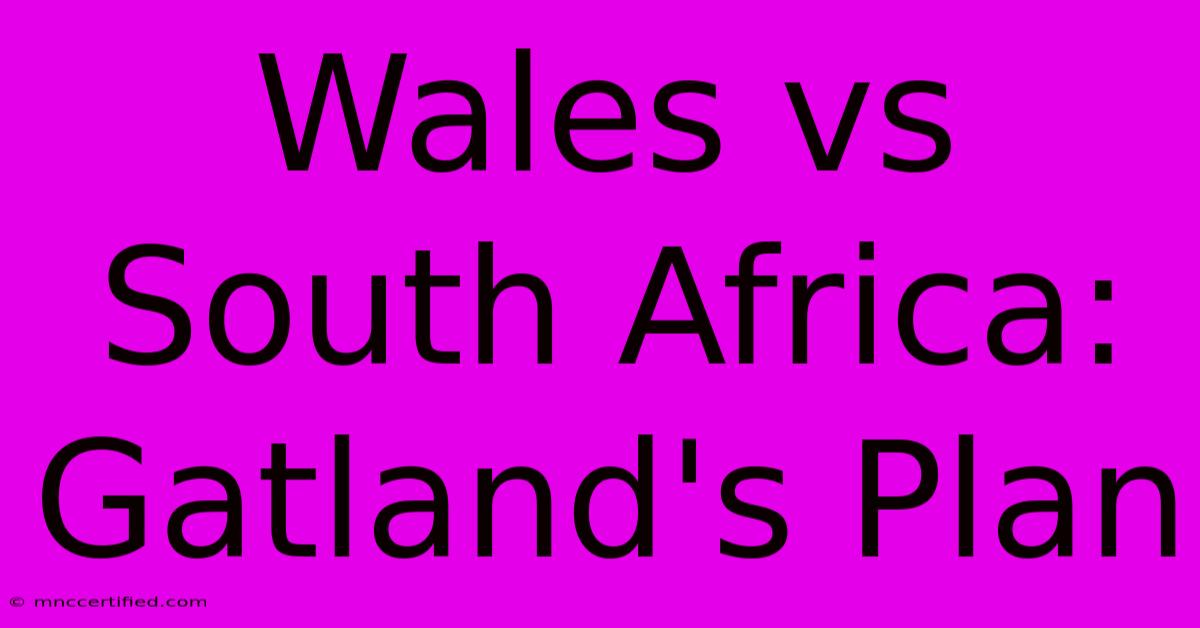 Wales Vs South Africa: Gatland's Plan