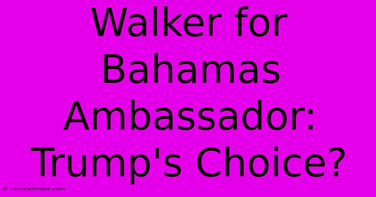 Walker For Bahamas Ambassador: Trump's Choice?