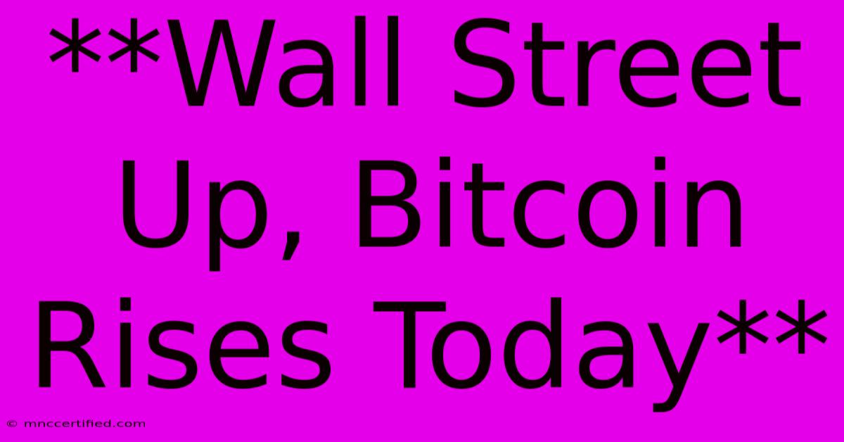 **Wall Street Up, Bitcoin Rises Today**