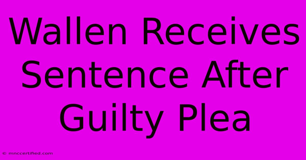 Wallen Receives Sentence After Guilty Plea