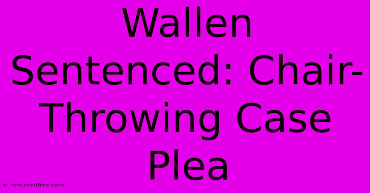 Wallen Sentenced: Chair-Throwing Case Plea