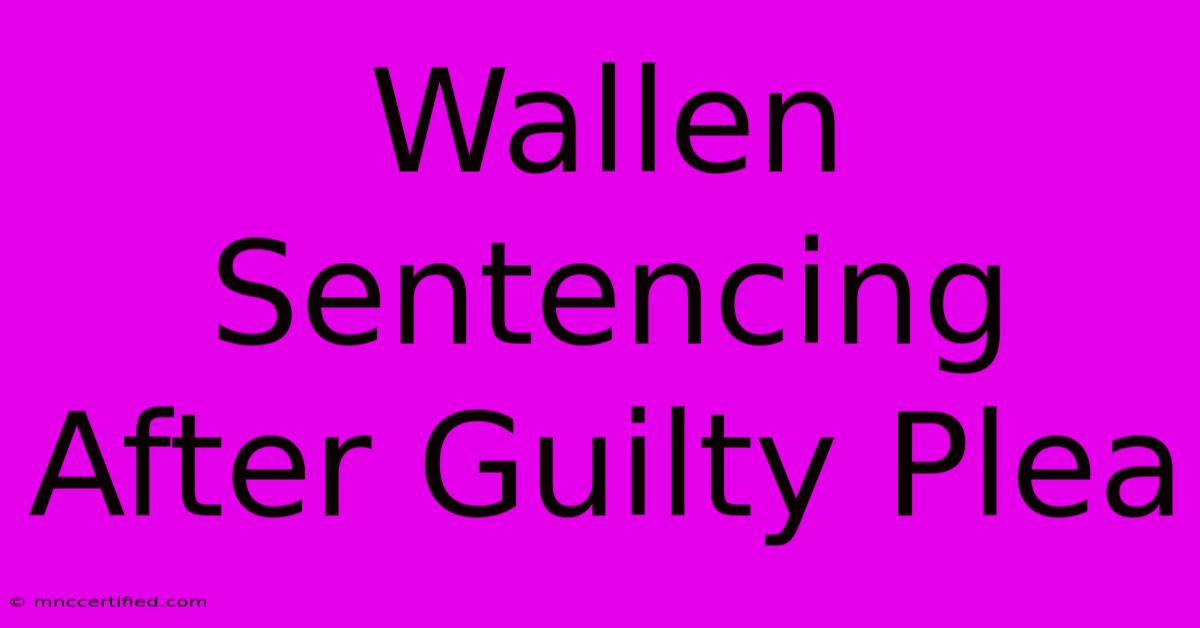 Wallen Sentencing After Guilty Plea