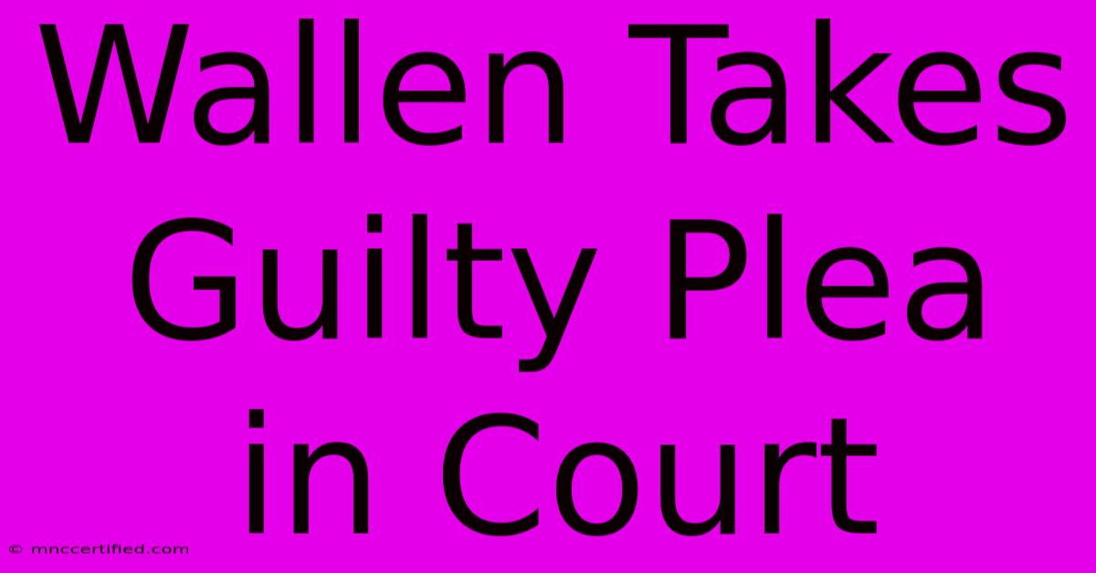 Wallen Takes Guilty Plea In Court