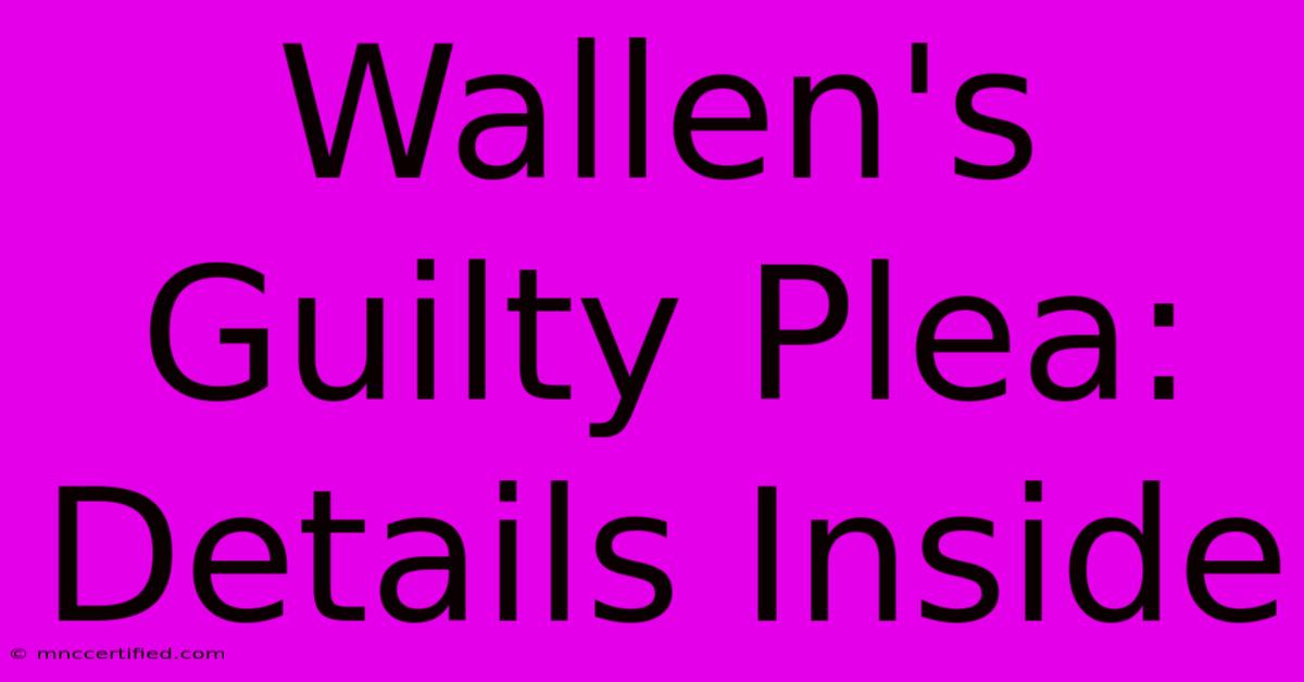 Wallen's Guilty Plea: Details Inside