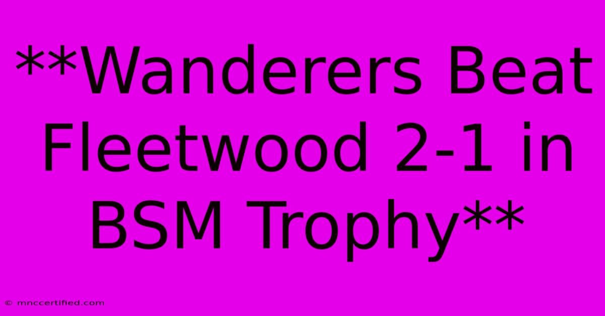 **Wanderers Beat Fleetwood 2-1 In BSM Trophy**