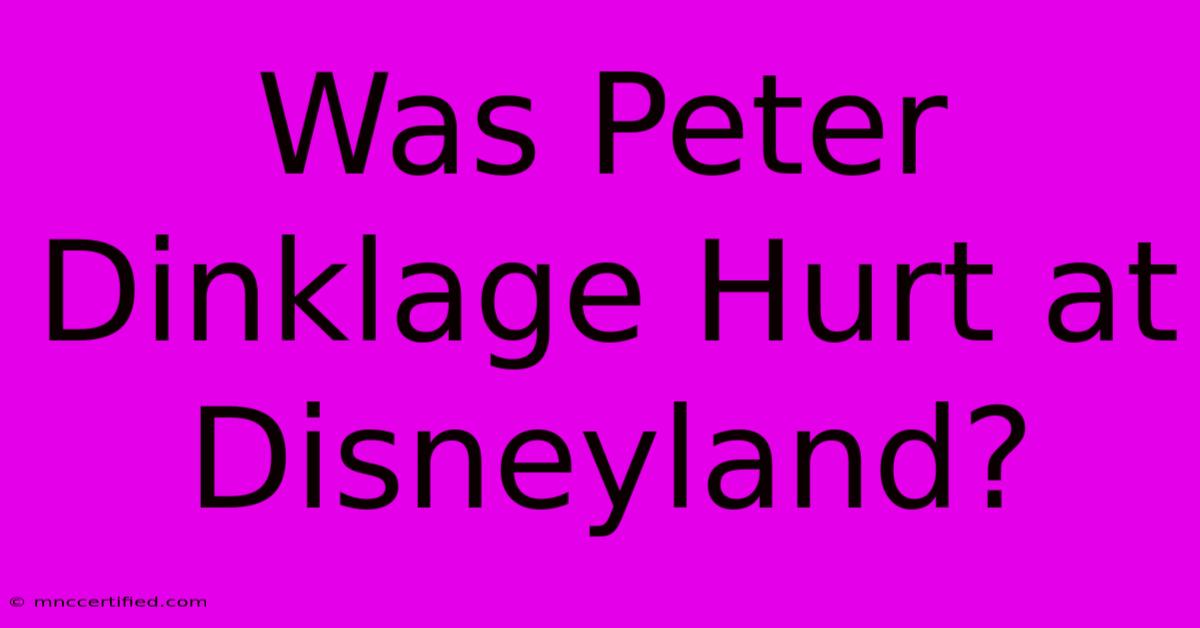 Was Peter Dinklage Hurt At Disneyland?