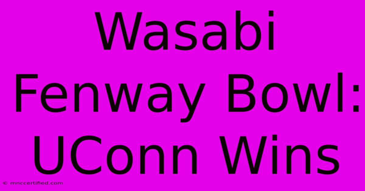 Wasabi Fenway Bowl: UConn Wins