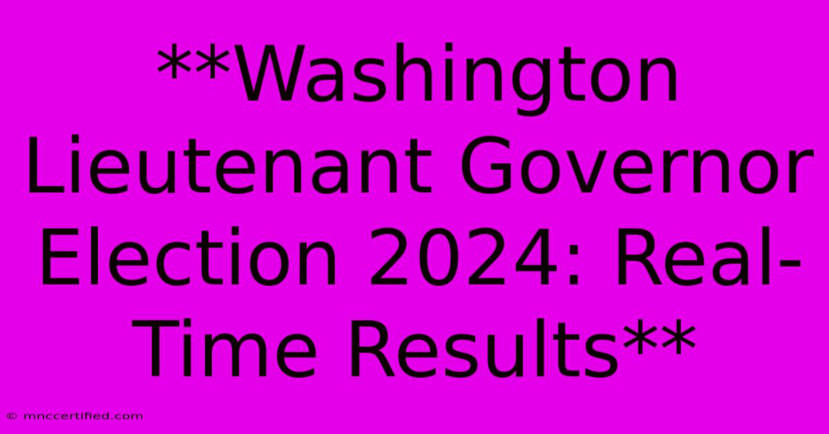 **Washington Lieutenant Governor Election 2024: Real-Time Results** 