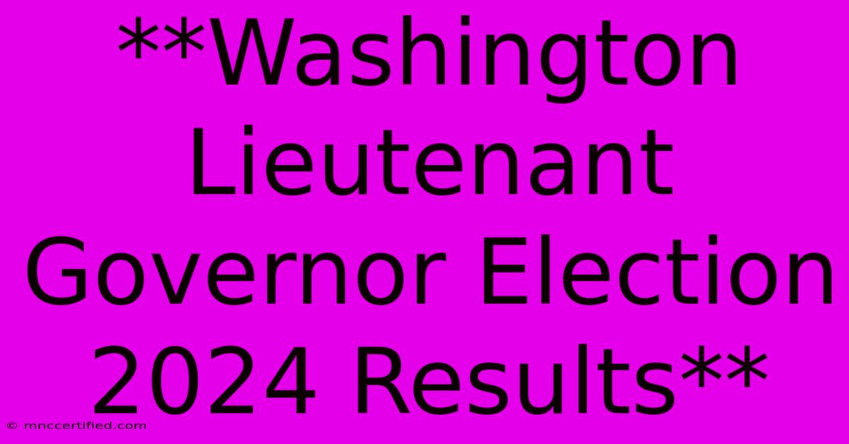 **Washington Lieutenant Governor Election 2024 Results**