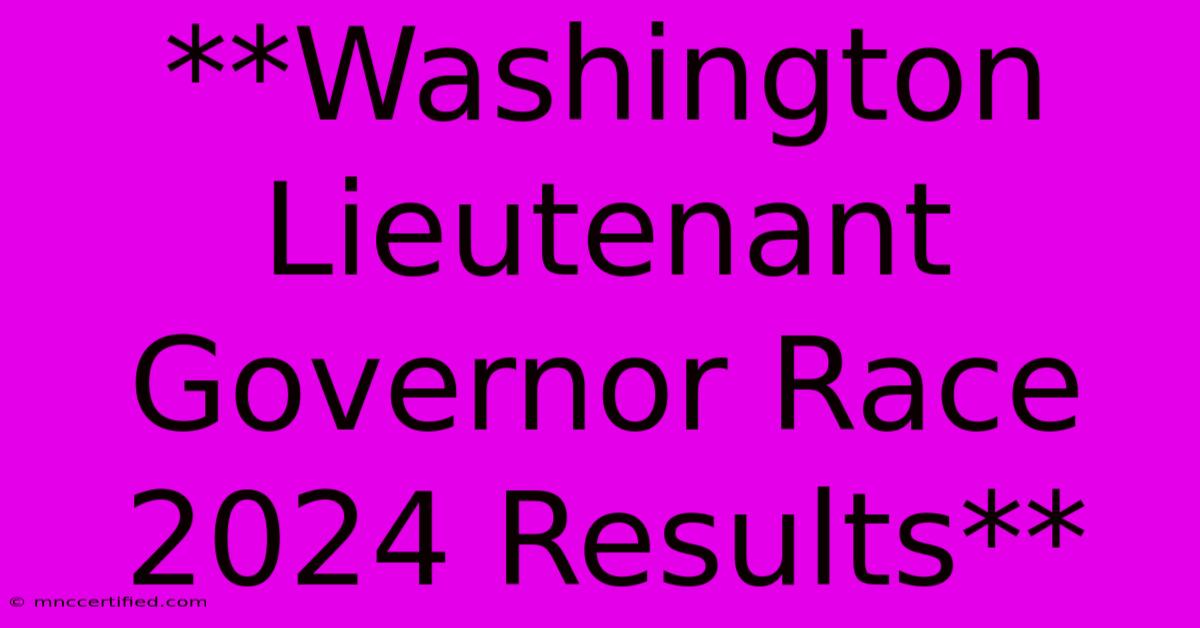 **Washington Lieutenant Governor Race 2024 Results**