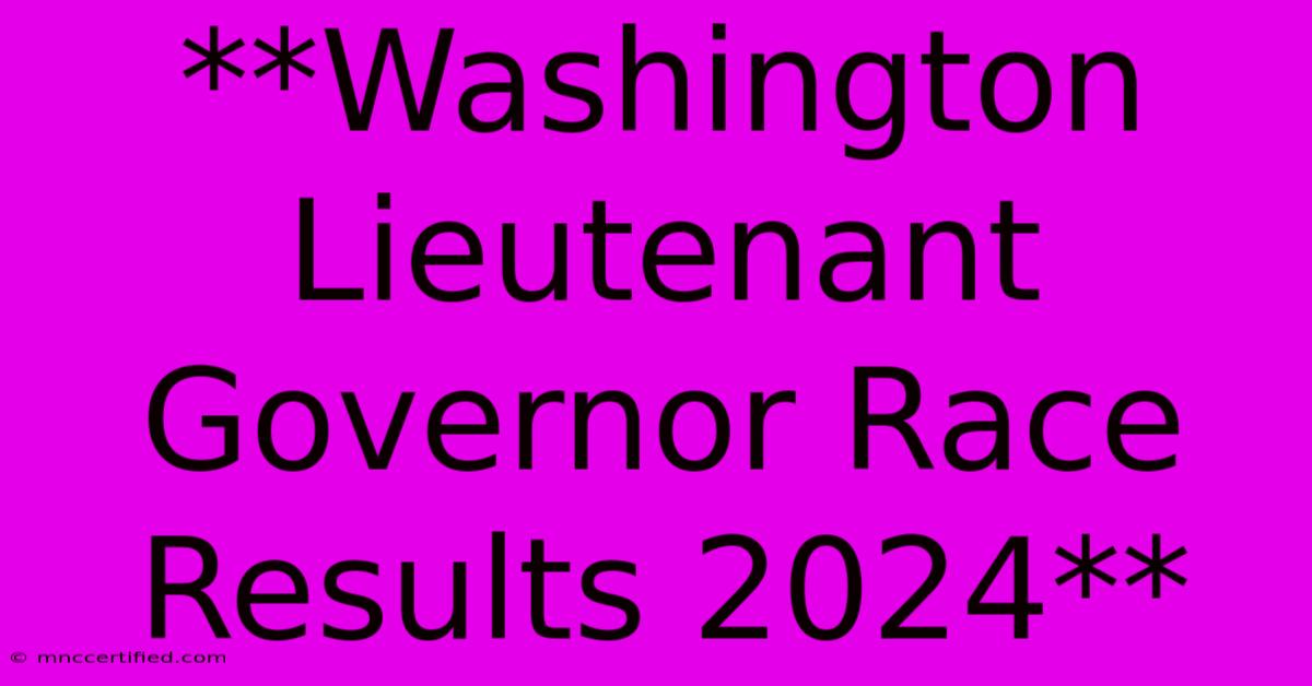 **Washington Lieutenant Governor Race Results 2024**