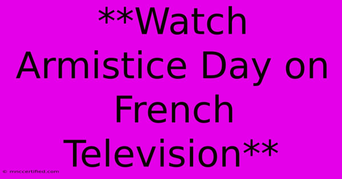 **Watch Armistice Day On French Television**