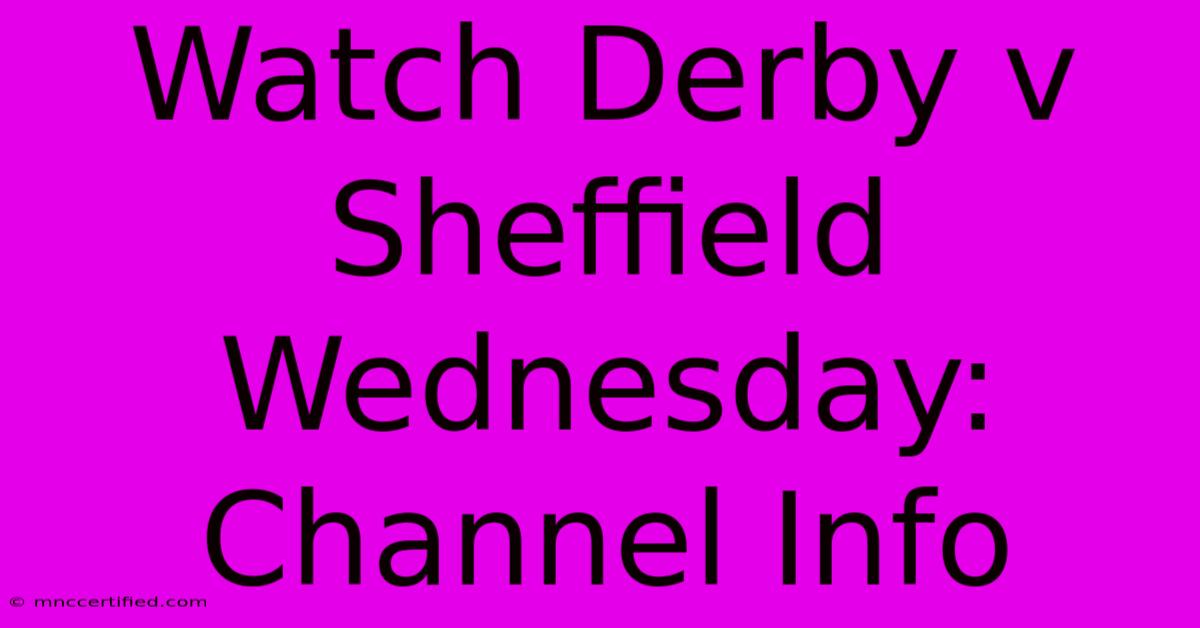 Watch Derby V Sheffield Wednesday: Channel Info