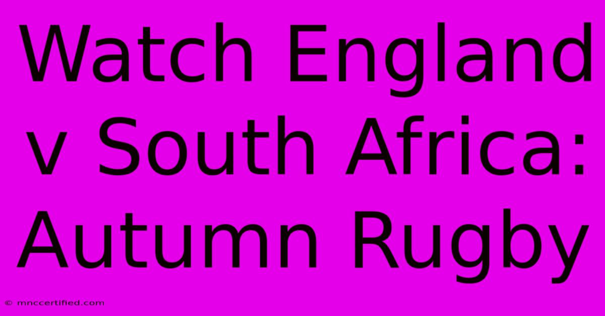 Watch England V South Africa: Autumn Rugby