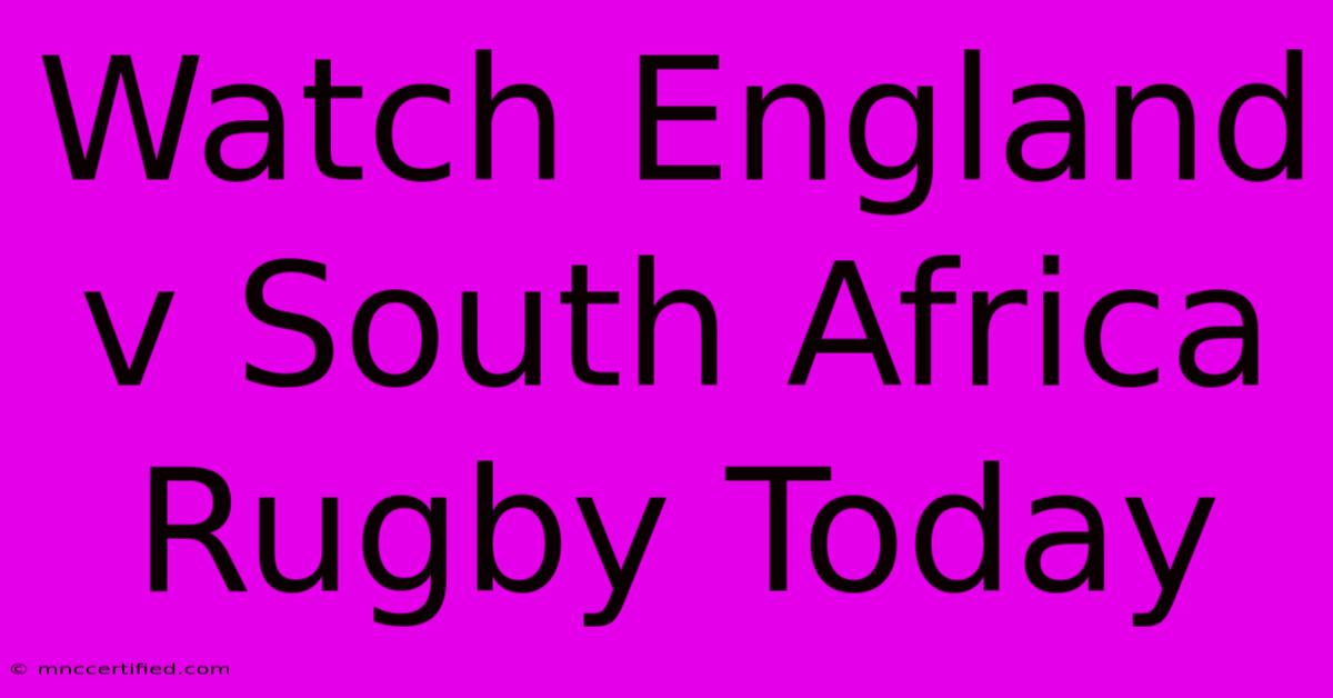 Watch England V South Africa Rugby Today