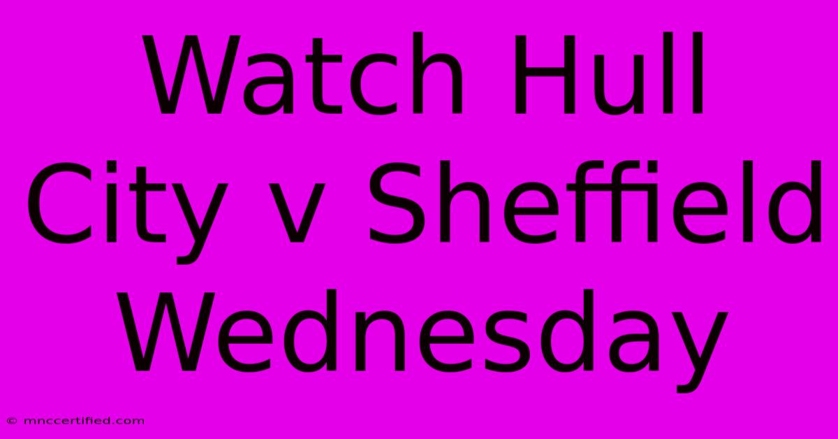 Watch Hull City V Sheffield Wednesday