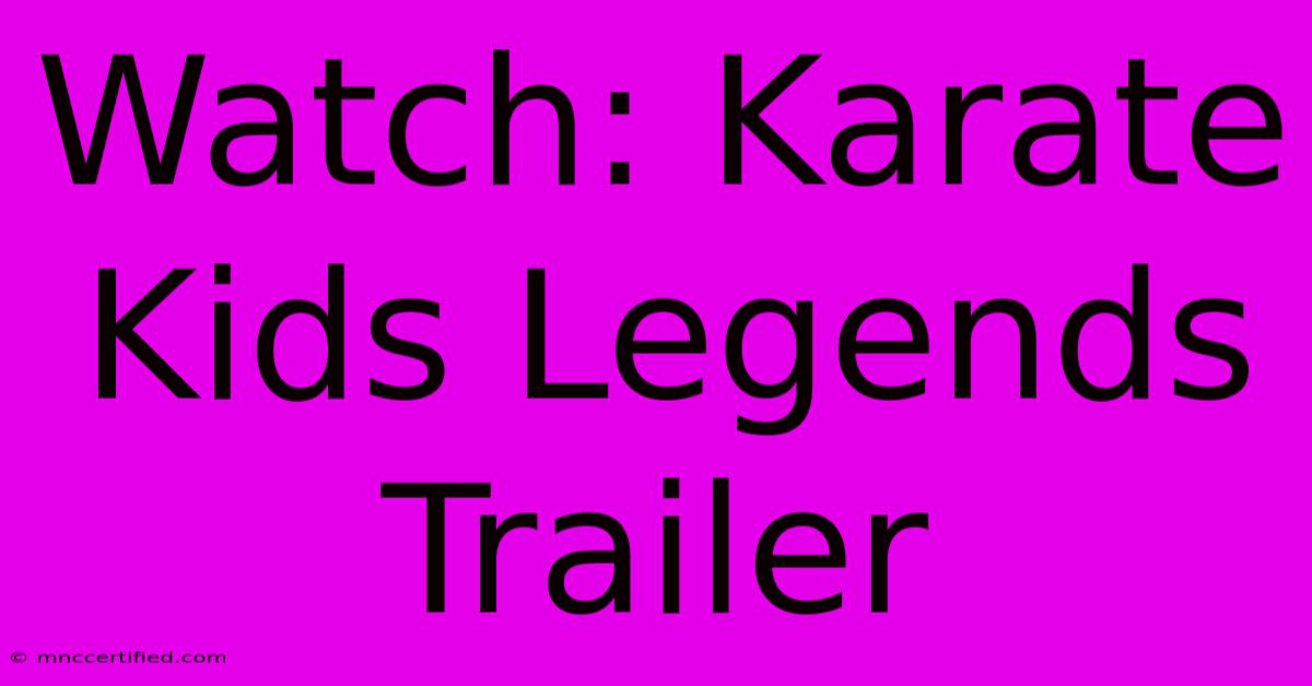 Watch: Karate Kids Legends Trailer