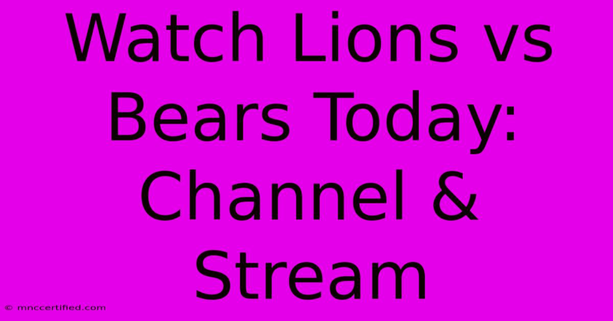 Watch Lions Vs Bears Today: Channel & Stream