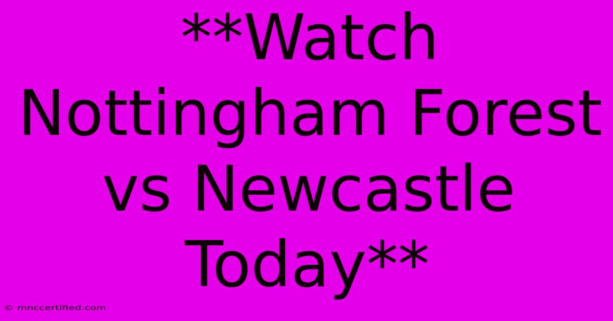 **Watch Nottingham Forest Vs Newcastle Today**