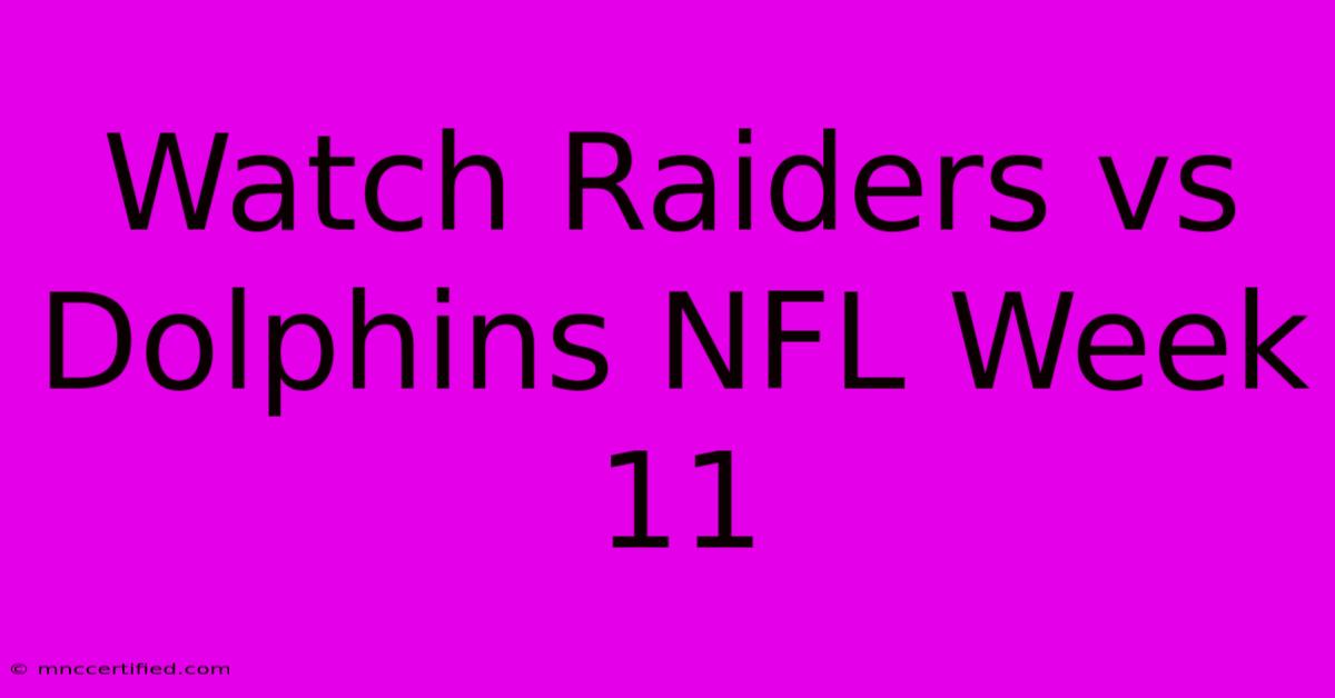 Watch Raiders Vs Dolphins NFL Week 11