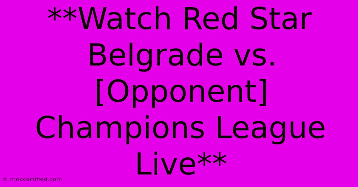 **Watch Red Star Belgrade Vs. [Opponent] Champions League Live**