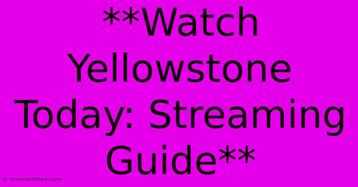 **Watch Yellowstone Today: Streaming Guide**