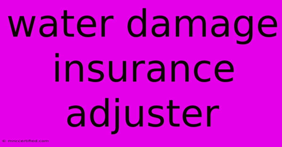 Water Damage Insurance Adjuster