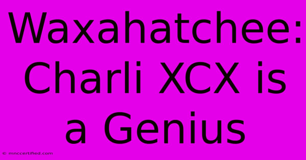 Waxahatchee: Charli XCX Is A Genius