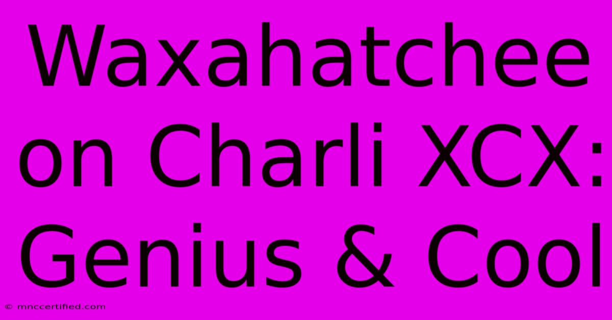 Waxahatchee On Charli XCX: Genius & Cool