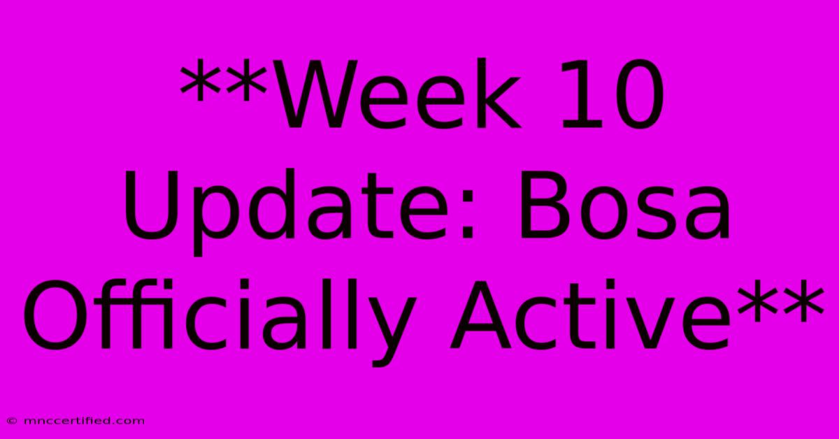 **Week 10 Update: Bosa Officially Active**