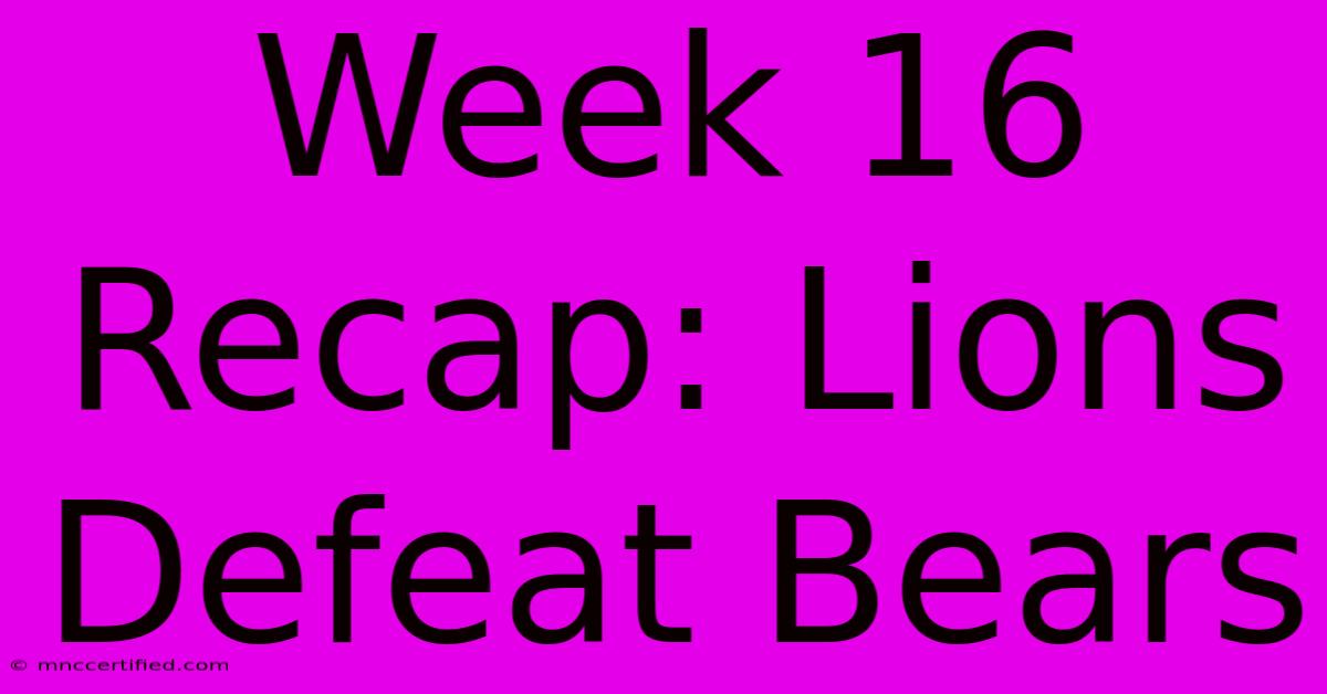 Week 16 Recap: Lions Defeat Bears