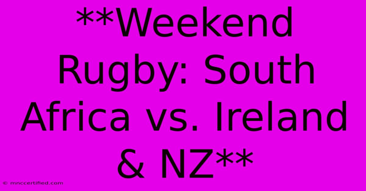 **Weekend Rugby: South Africa Vs. Ireland & NZ**