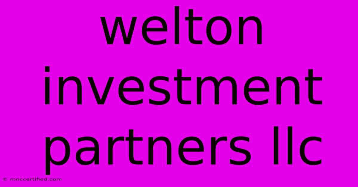 Welton Investment Partners Llc