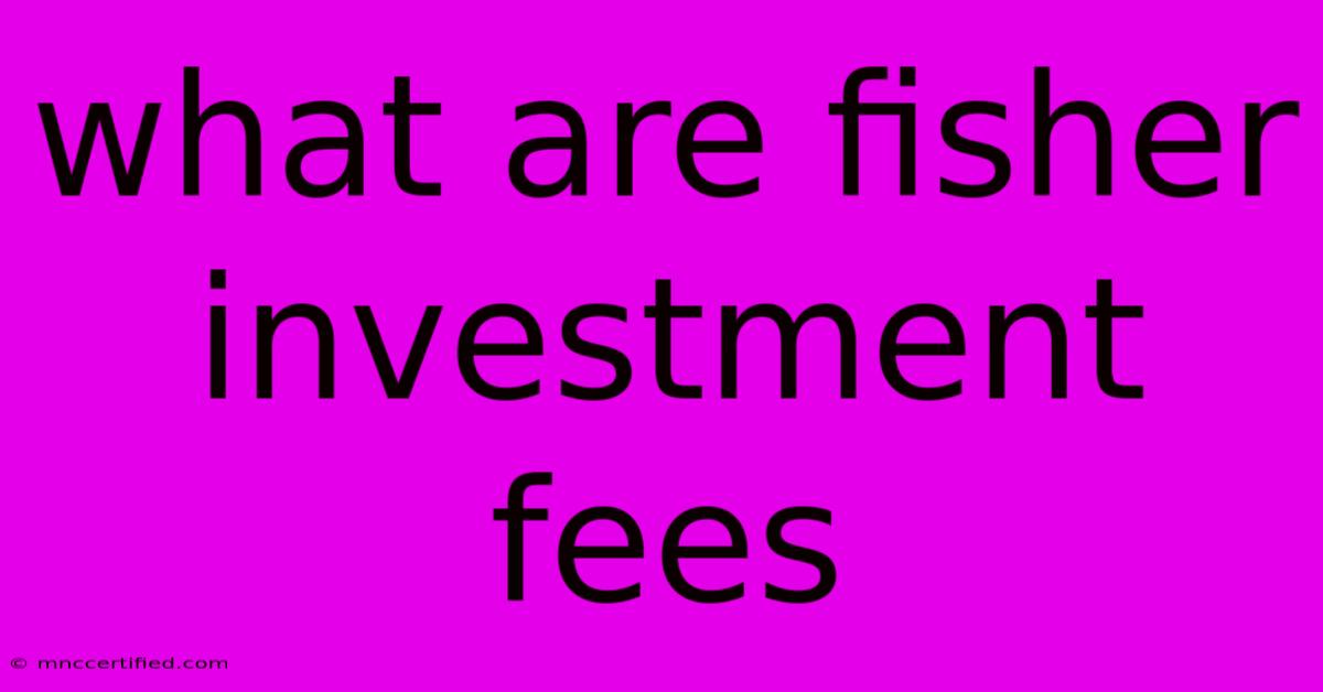 What Are Fisher Investment Fees