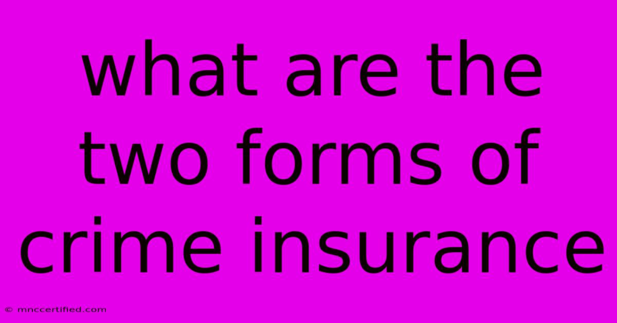 What Are The Two Forms Of Crime Insurance