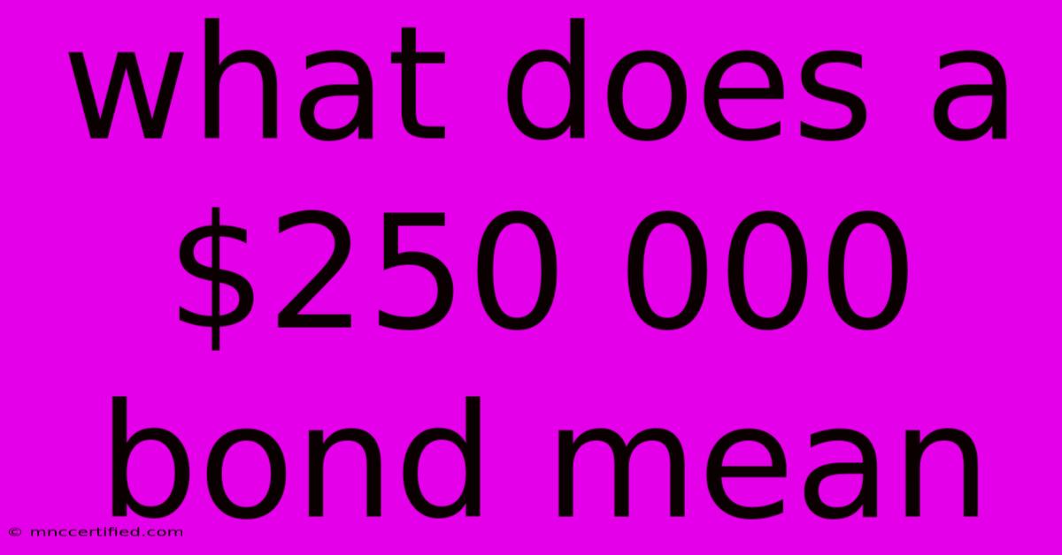 What Does A $250 000 Bond Mean