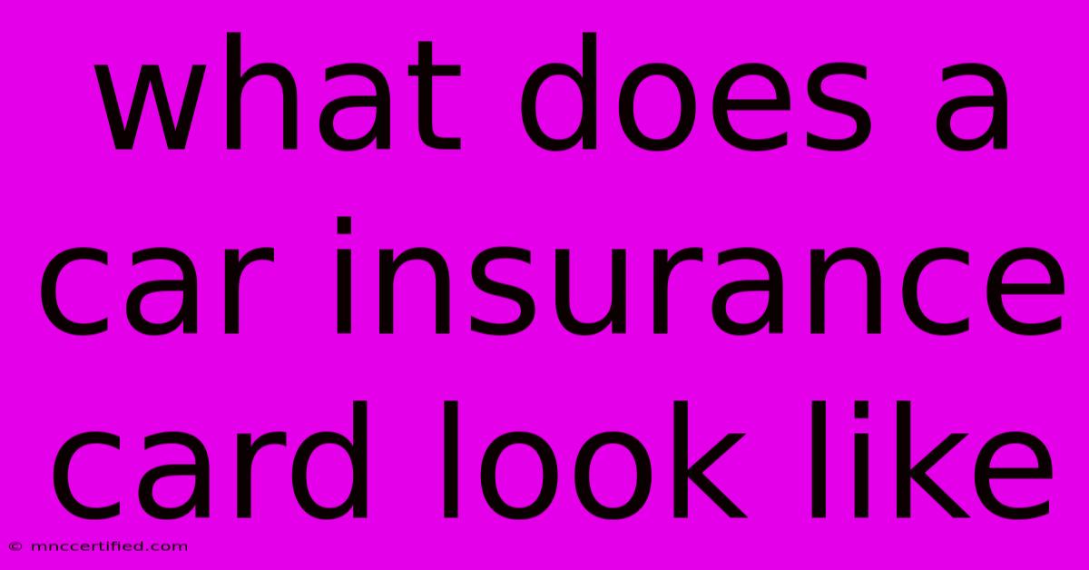 What Does A Car Insurance Card Look Like