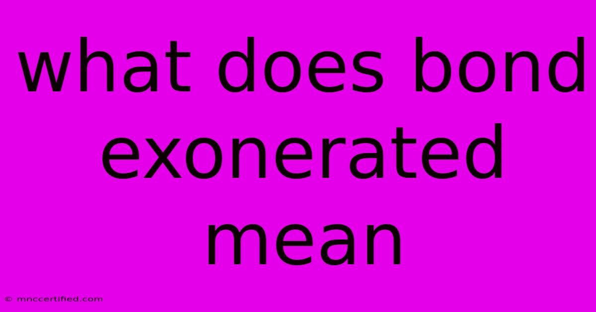 What Does Bond Exonerated Mean