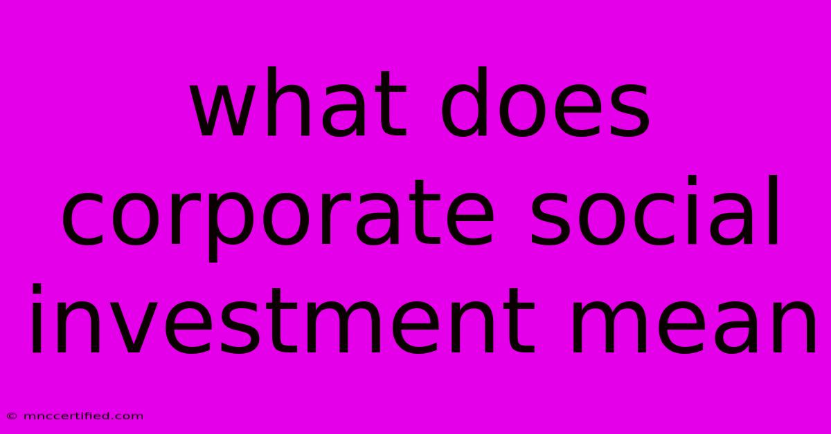 What Does Corporate Social Investment Mean