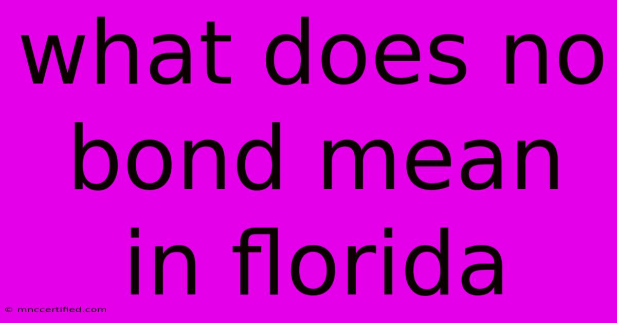 What Does No Bond Mean In Florida