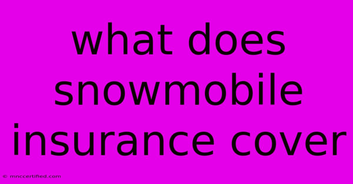 What Does Snowmobile Insurance Cover