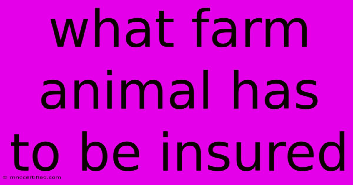 What Farm Animal Has To Be Insured