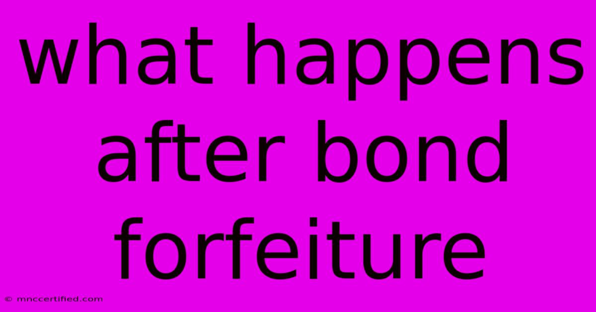 What Happens After Bond Forfeiture