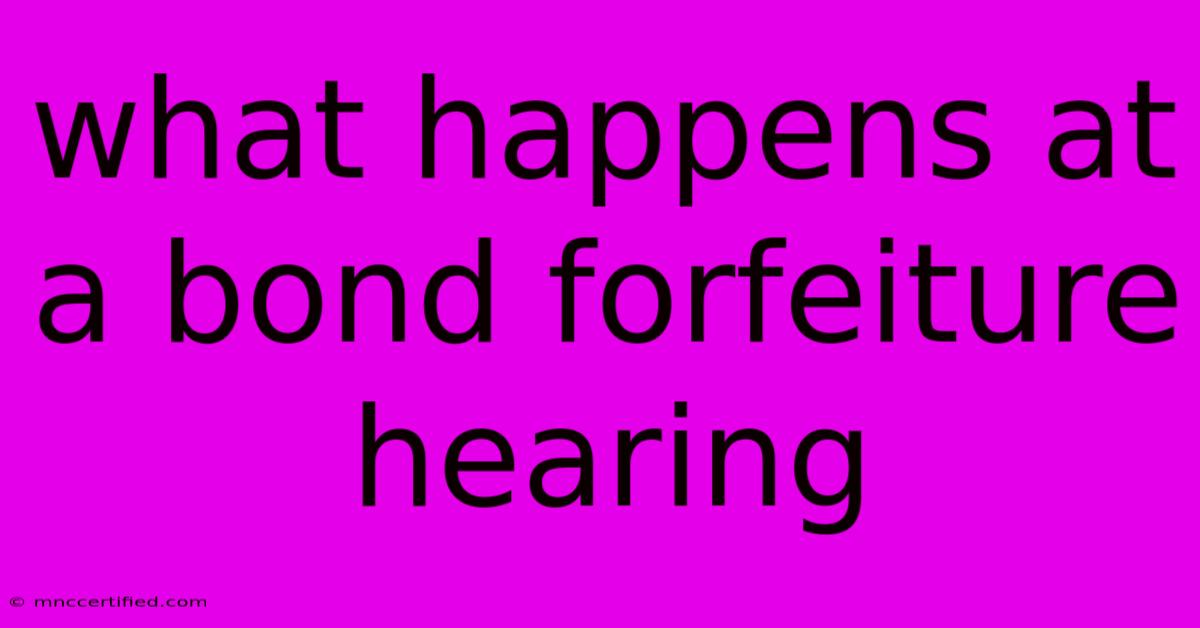 What Happens At A Bond Forfeiture Hearing