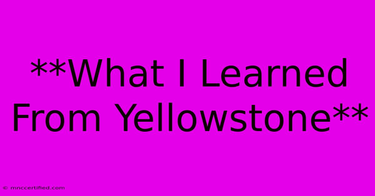 **What I Learned From Yellowstone**