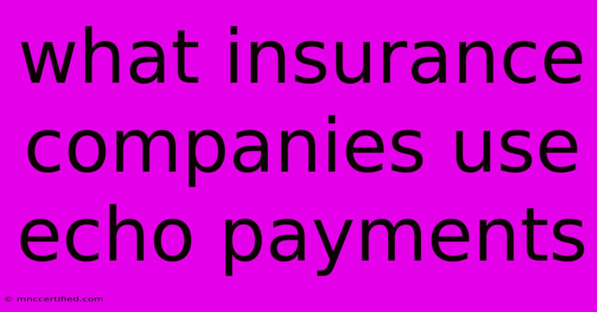 What Insurance Companies Use Echo Payments