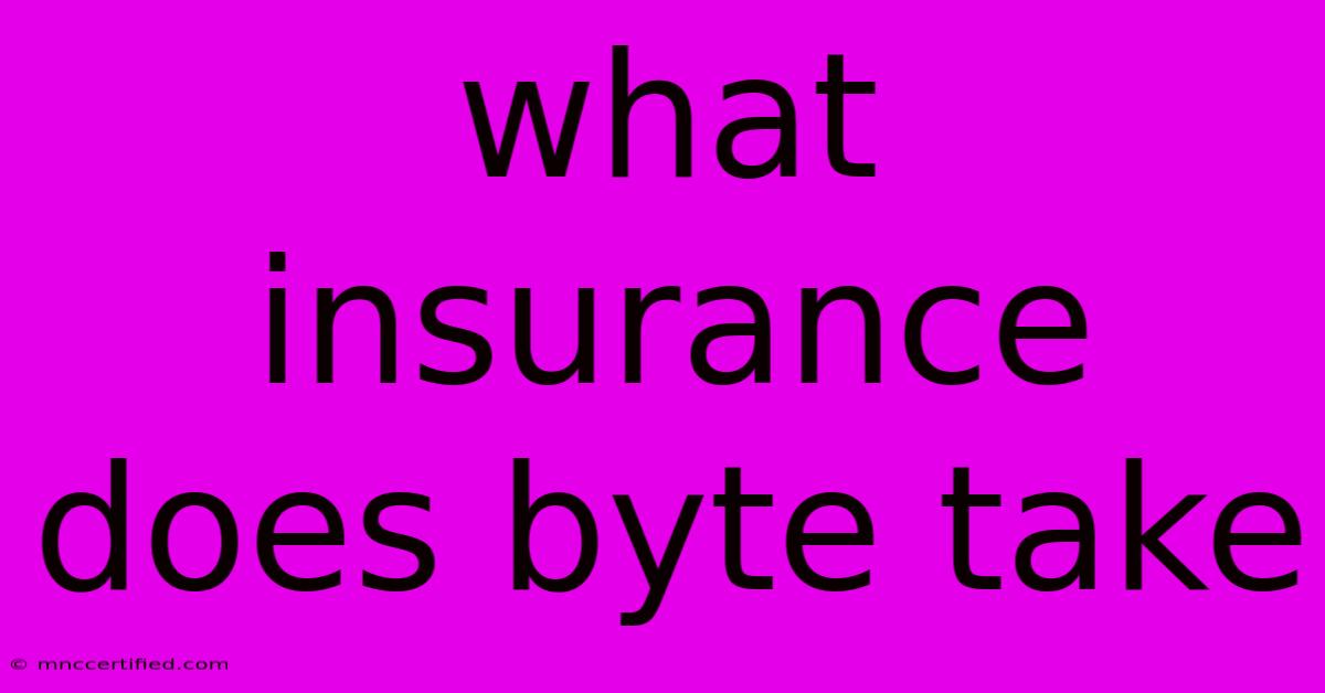 What Insurance Does Byte Take