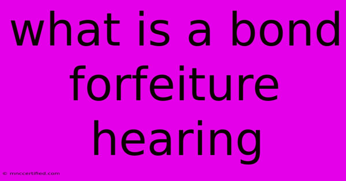 What Is A Bond Forfeiture Hearing