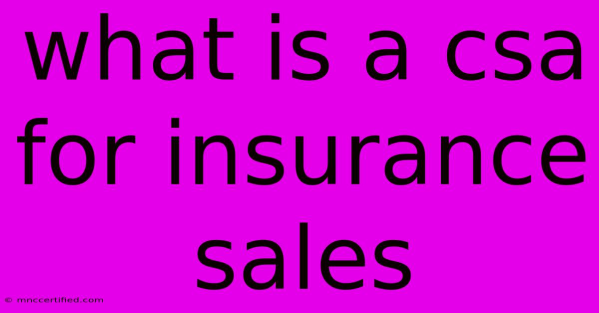 What Is A Csa For Insurance Sales